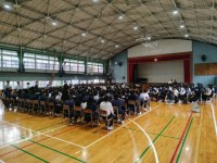 全体の様子