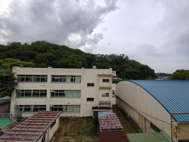 校舎の裏の山の色