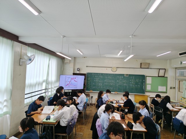 全体の様子