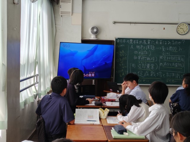 動画を見る