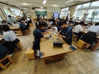 全体の様子