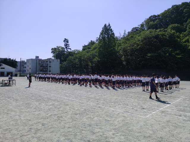 全体の様子