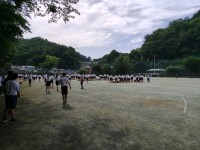 全体の様子