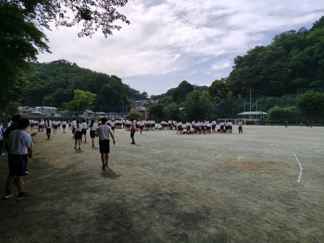 全体の様子
