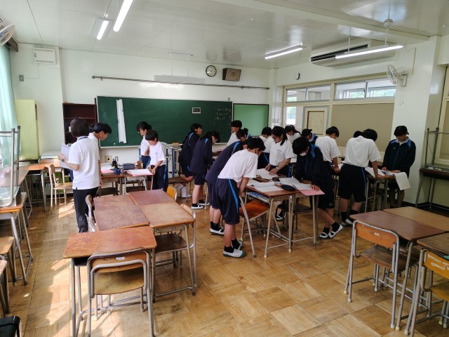 全体の様子