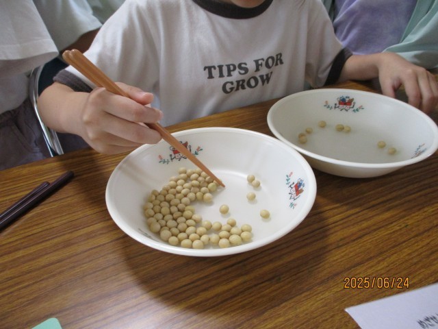 きれいなはし使いでたくさん豆を運ぶことができました。