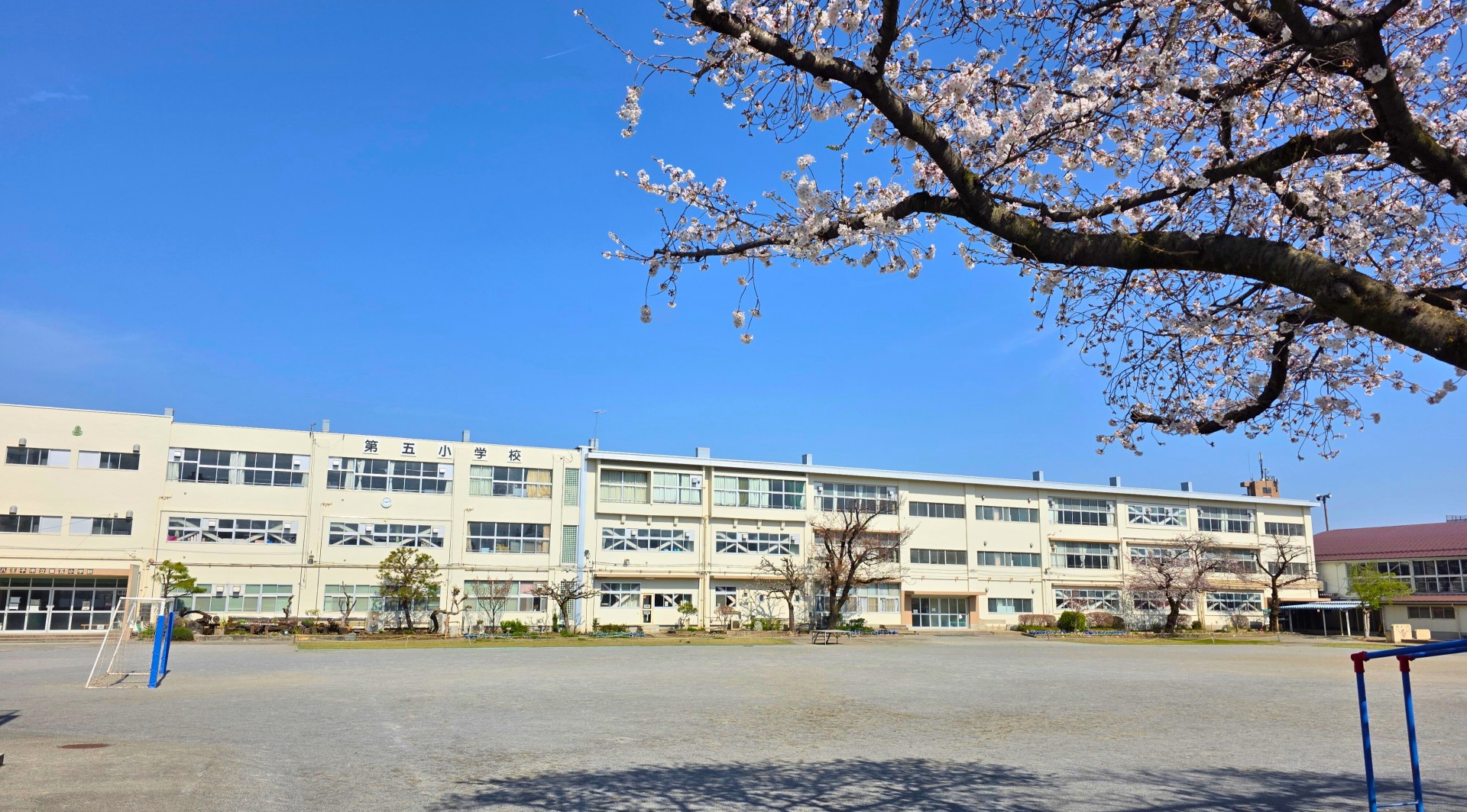 fa3306fe-65aa-4fc2-b744-8cc4eb094002.jpg