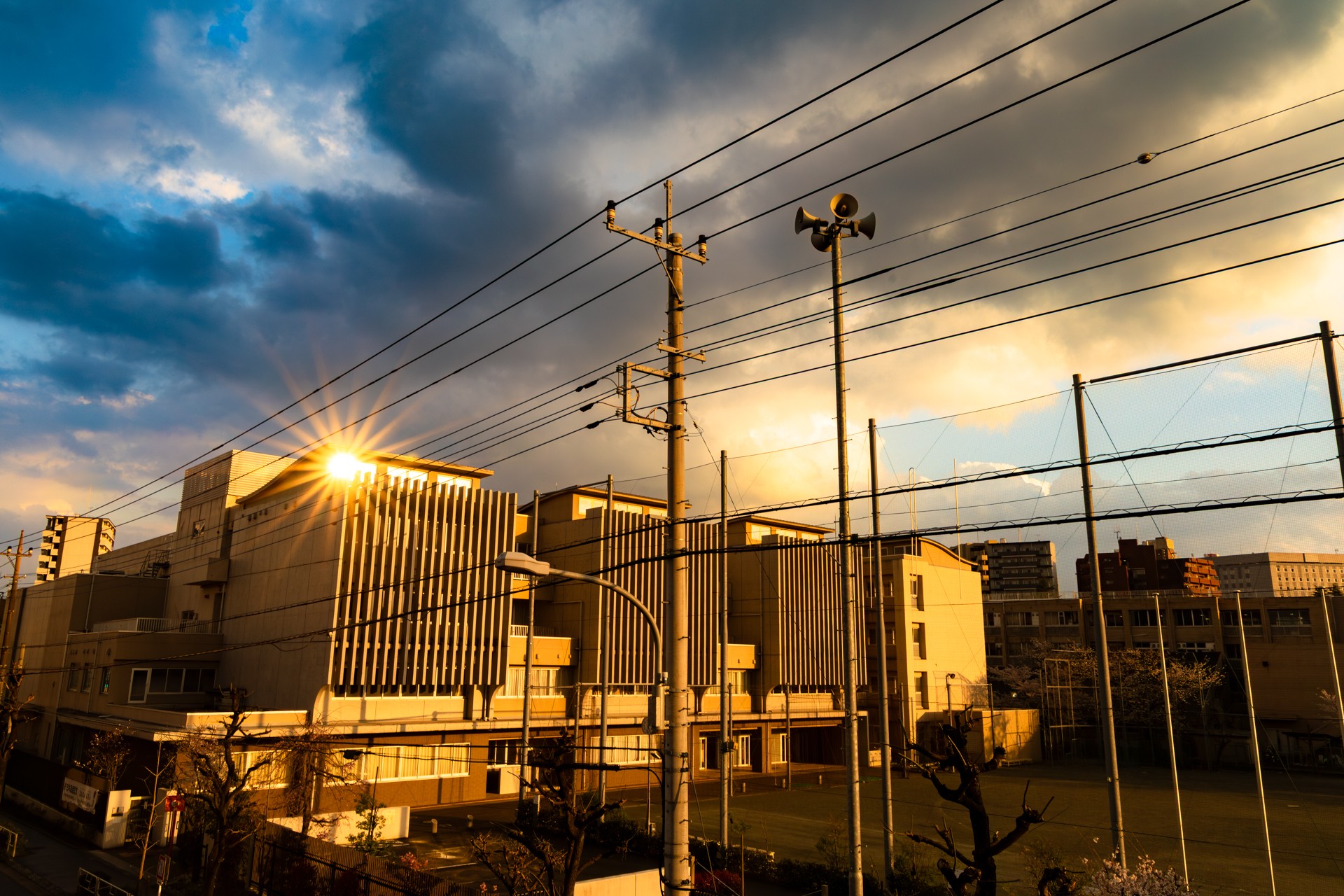 496A5512-強化-NR-1.jpg