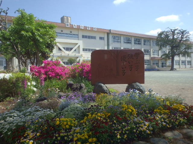 P5010011.JPG