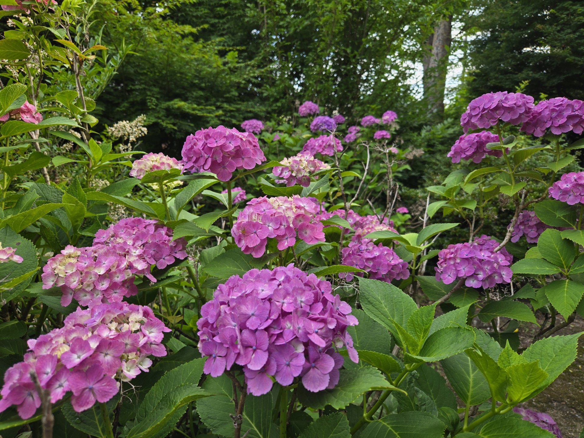 20250616_163945.jpg