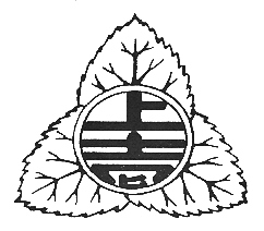 画像 714.jpg