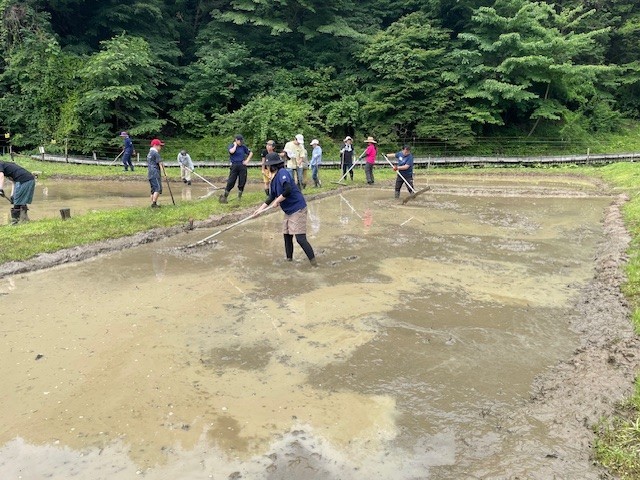 代掻き③.jpeg