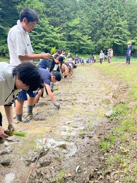 大人の田植え③.jpeg
