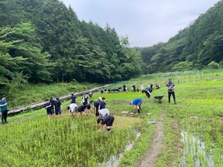田んぼの草取り①.jpeg
