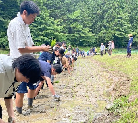 大人の田植え③.jpeg