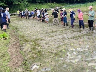 大人の田植え④.jpeg
