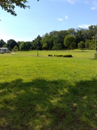緑と青空のコントラスが美しい戸吹運動公園の朝
