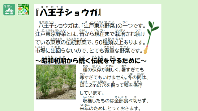 八王子ショウガ