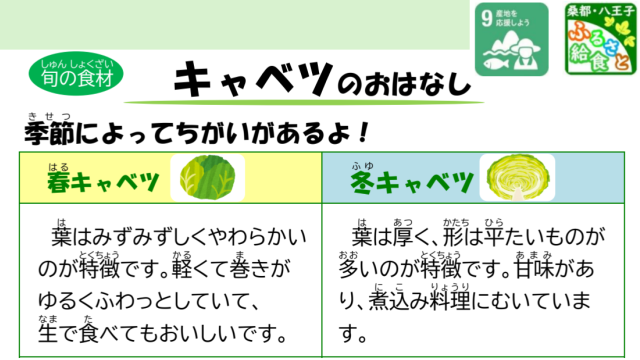 八王子産キャベツ