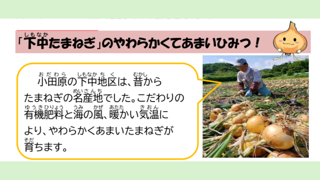 下中たまねぎ