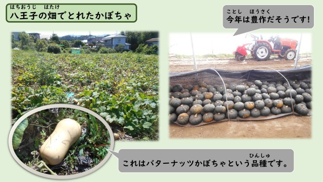 八王子のかぼちゃ