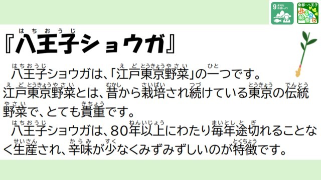 八王子ショウガ
