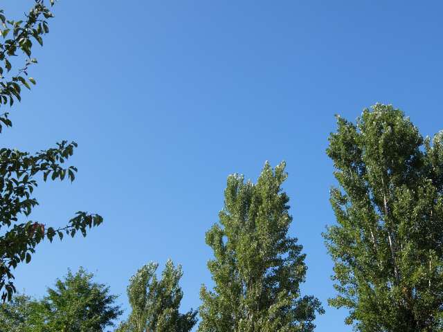 夏空