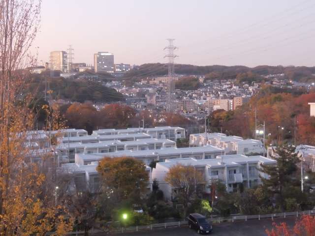 DSCF8818.JPG
