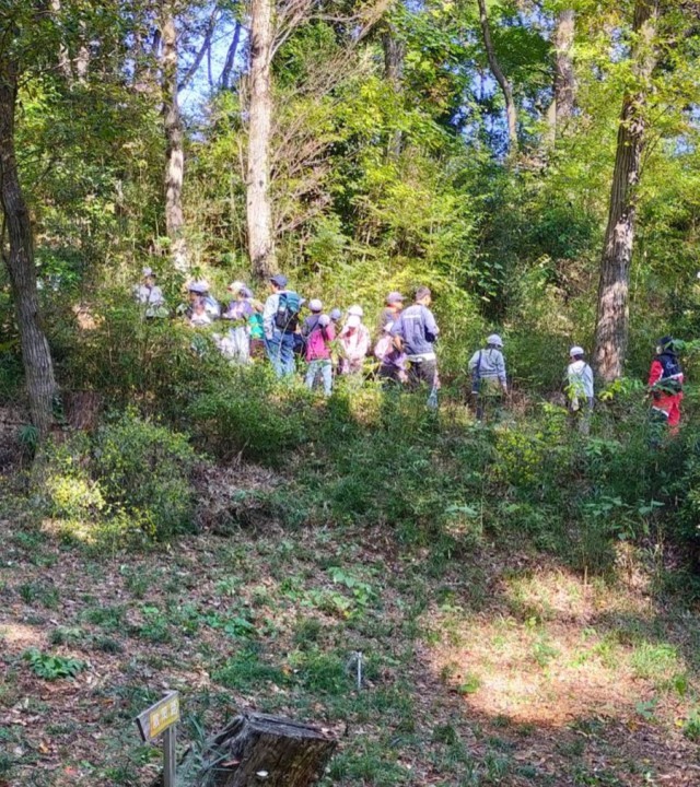 森の生き物探し