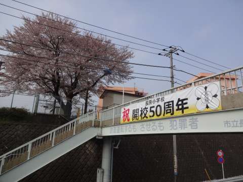 横断幕東