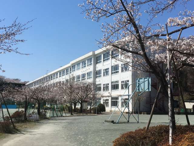image0.jpeg