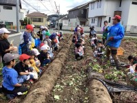 説明を聞いて、いざ芋ほり！