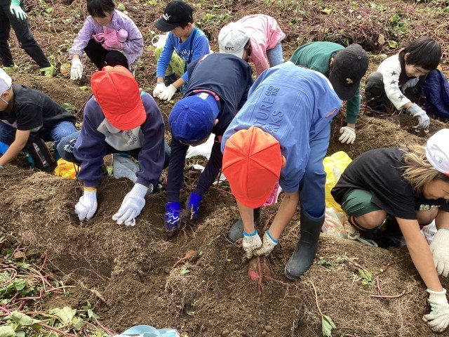 力強く、せっせと掘りました！