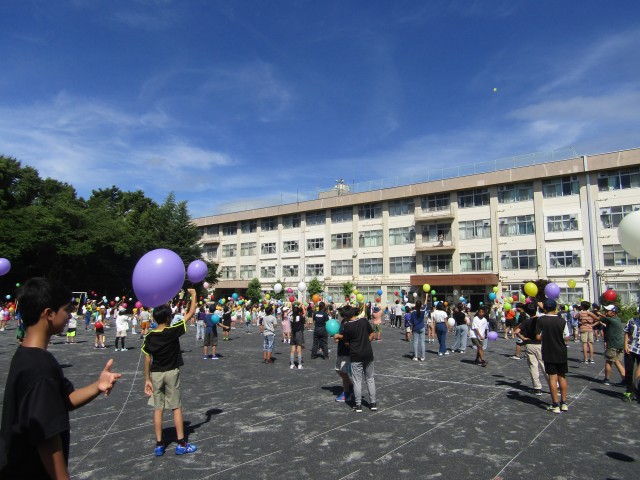 IMG_2493.JPG