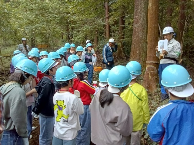間伐の説明を受ける