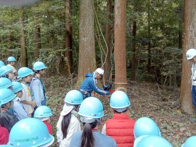 職人の仕事を見つめる