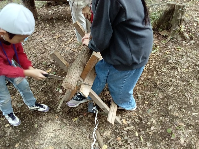 のこぎりに挑戦