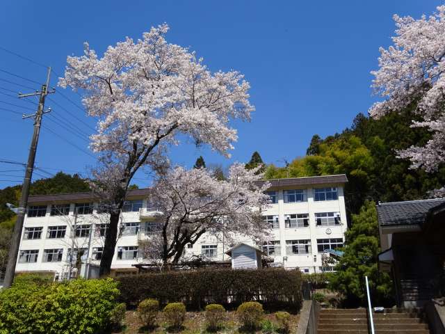 平成３１年４月校舎
