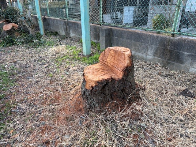 新たなスタート