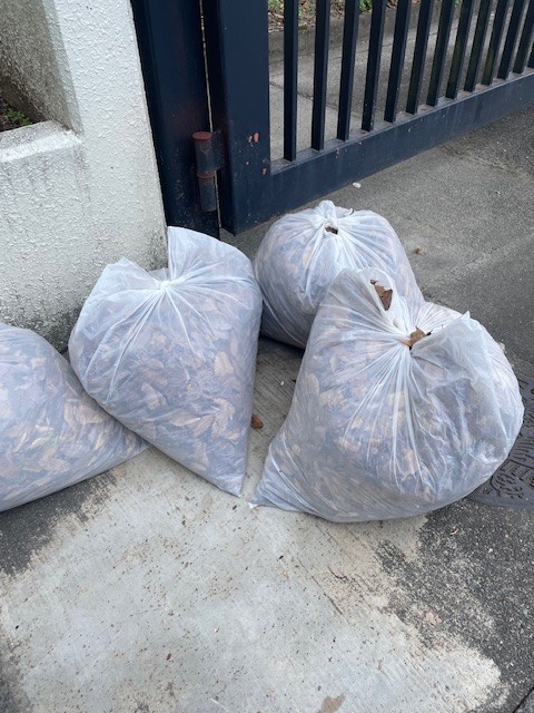 ほんの一部です