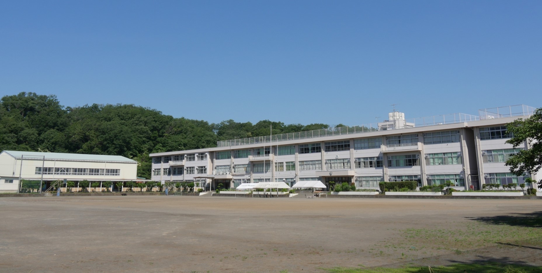 学校全景