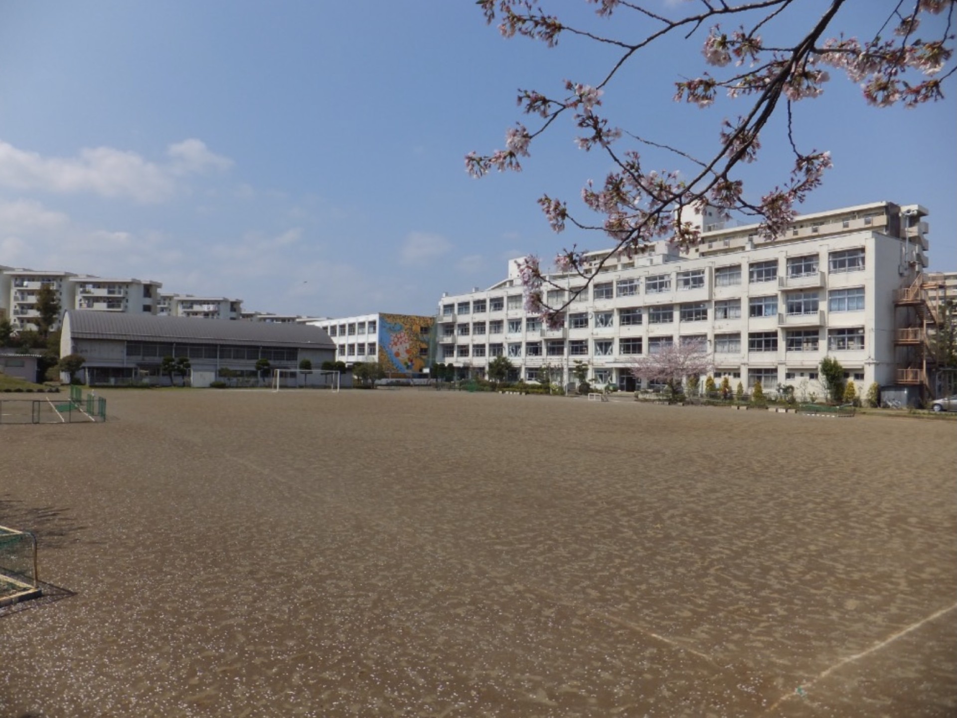 校舎
