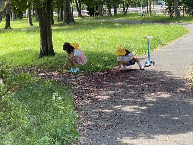 ヤマモモ発見！
