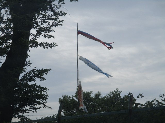 風が強い日でした。