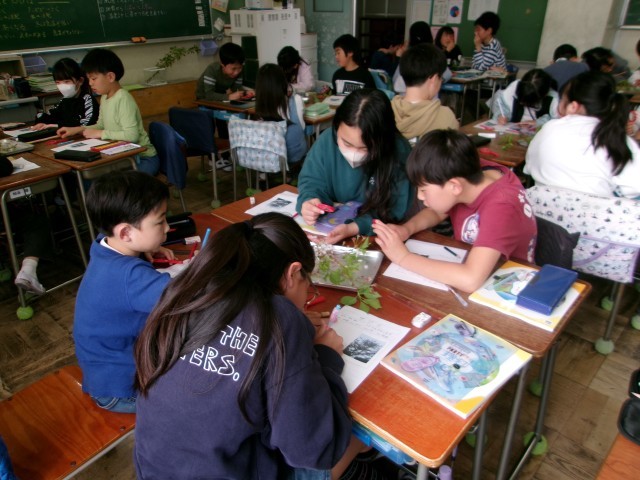 理科　サクラの観察