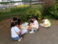 春の生き物の観察