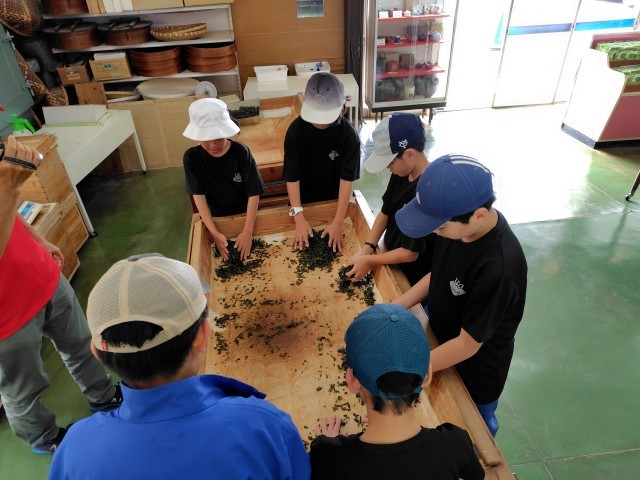茶もみ体験