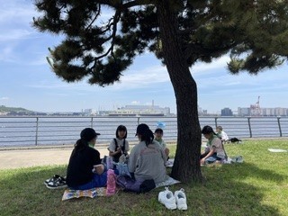 海沿いの公園で昼食
